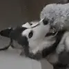 melanieholder83 - @melanieholder83 - TikTok
