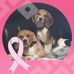 Melanie Hubert - Facebook