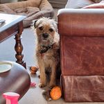 Melanie Jayne Ives - @oscari562 - Instagram