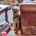 Melanie Jayne Ives - Facebook