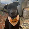 melanieivey - @melanie.ivey6 - TikTok