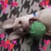 Melanie Jacobson - Facebook