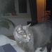 Melanie Jacoby - Facebook