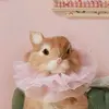 ok - @jester..melanie - TikTok