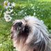 Melanie Jonas - Facebook