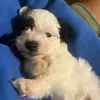 melanie - @melaniejuarezc__ - TikTok