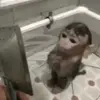 melanie  juarez - @m13an13.com - TikTok