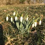 Melanie Junge - @nordlicht214 - Instagram