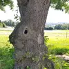 melaniejunge541 - @melaniejunge541 - TikTok