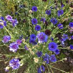 Melanie Gwendahlin Keyes - @mgwen57 - Instagram