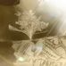 Melanie Kies - Facebook