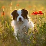 Melanie Kluge | Fotografie - @melanie_kluge_fotografie - Instagram