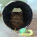 Melanie Kolb - Facebook