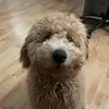 Melanie Lamos - @melanielam0s - TikTok