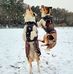 Melanie Lammers - Facebook