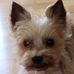 Melanie Lance - Facebook