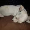 melanielanier3 - @melanielanier3 - TikTok