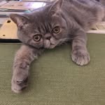 Melanie Large - @melanielarge1963 - Instagram