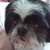 Melanie Larkin - Facebook