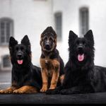 Mélanie Leclerc - @leclerc.melanie - Instagram