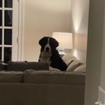 melanie lila bella lorna lemon - @everyonesphotodumps - Instagram