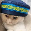 налоговая полиция 😁💯 - @melanielinnenberg - TikTok