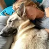 Melanie Linn586 - @mjlinn77 - TikTok
