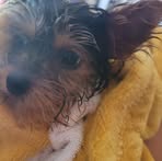 Melanie Locklear - Facebook