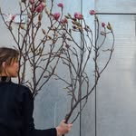ʕ•ᴥ•ʔ         Melanie Lucy S - @meliiiiiiiiiiiiiiii_mel - Instagram