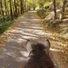 Melanie Mader86 - @melaniemader91 - TikTok