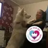 melaniemansell327 - @melaniemansell327 - TikTok
