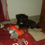 Melanie Marty - Facebook