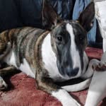 Melanie Mcalpine - @mcalpinemelanie - Instagram