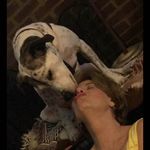 Melanie Mcbride Flowers Gambill - @melaniemcbrideflowers - Instagram