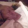 Melanie McLean - @melanie.mclean2 - TikTok