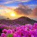 Melanie Messer - Facebook