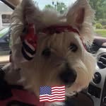 Melanie Sanders Messer - @monogramsbymelanie - Instagram