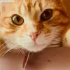 Melanie Mickelson - @melanie.mickelson - TikTok