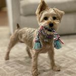 Melanie Mims - @melmi9452 - Instagram