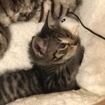 𝓜𝓮𝓵𝓪𝓷𝓲𝓮 - @melanie_mora04 - Instagram