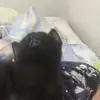 melanienava54 - @melanienava54 - TikTok