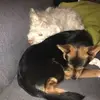 Melanie Neroni - @melanieneroni - TikTok