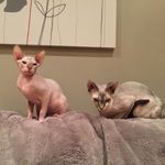 Melanie Oates - @snowyoates8 - Instagram