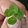 Melanie Ogle110 - @user356kvqcafl - TikTok