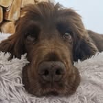 Melanie Oldham - @mella_oldham - Instagram