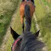 chachou - @melaniedevauxoman - TikTok