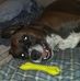 Melanie Patton - Facebook
