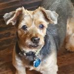 Melanie Perdue - @melanie.perdue.1800 - Instagram
