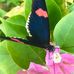 Melanie Phipps - Facebook