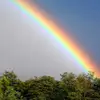 melaniepiper919 - @melaniepiper919 - TikTok